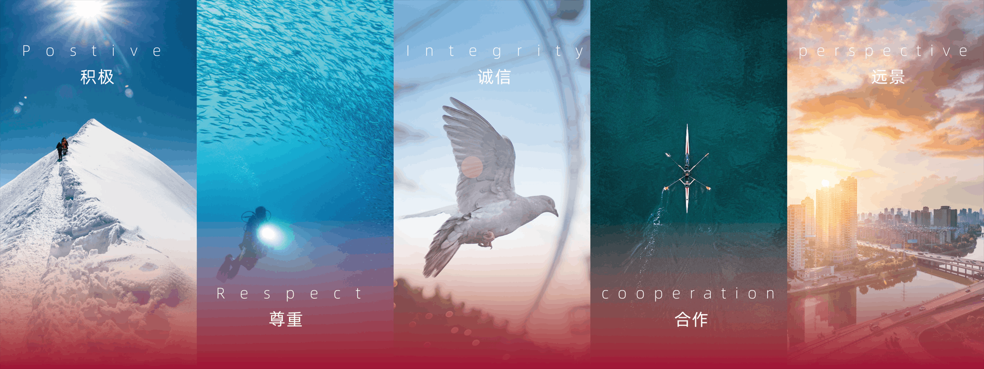 積極，尊重，誠信，合作，遠(yuǎn)景