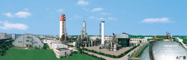 P . 河南中原大化