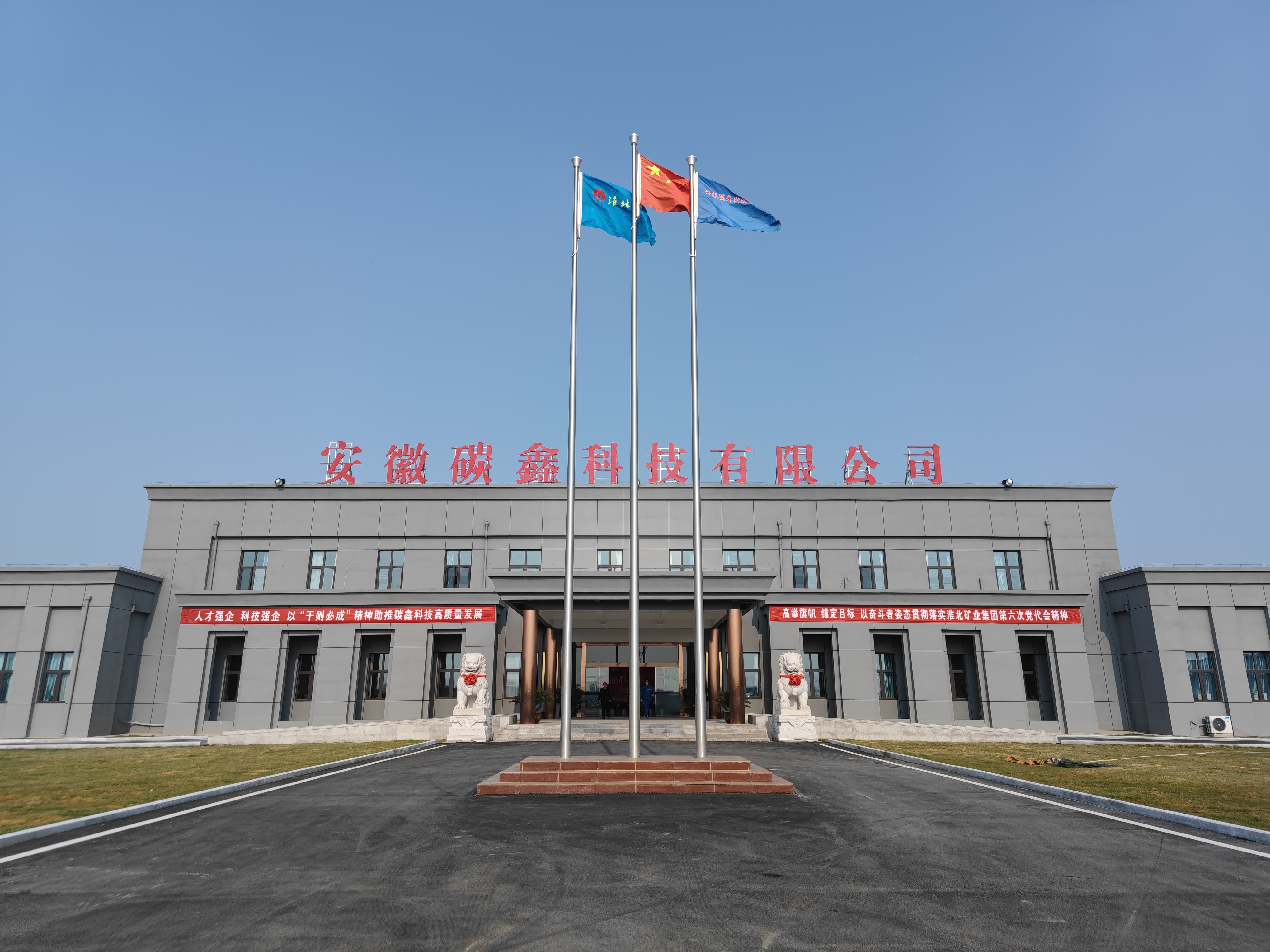 W . 安徽碳鑫科技